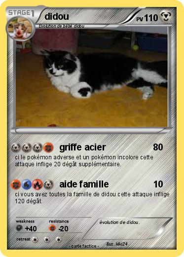 Pokemon didou