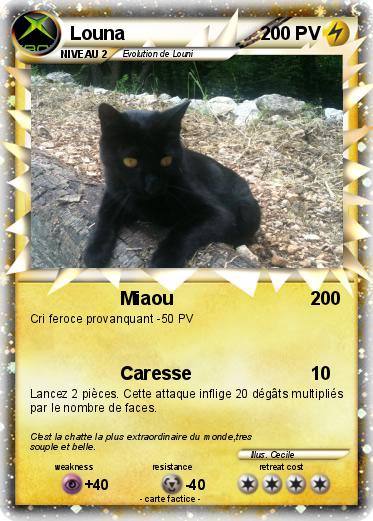 Pokemon Louna