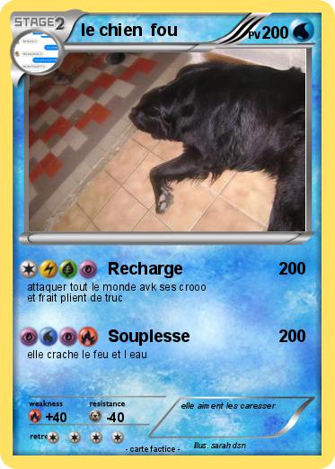 Pokemon le chien  fou
