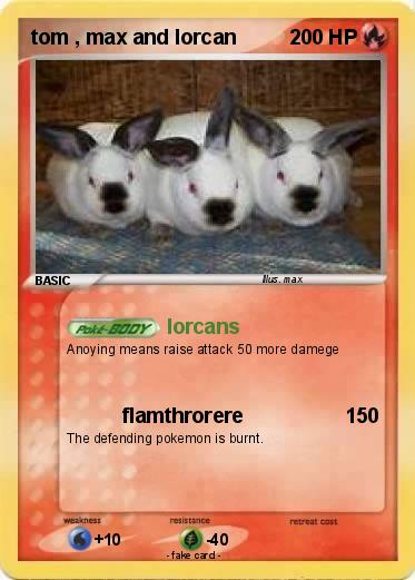 Pokemon tom , max and lorcan