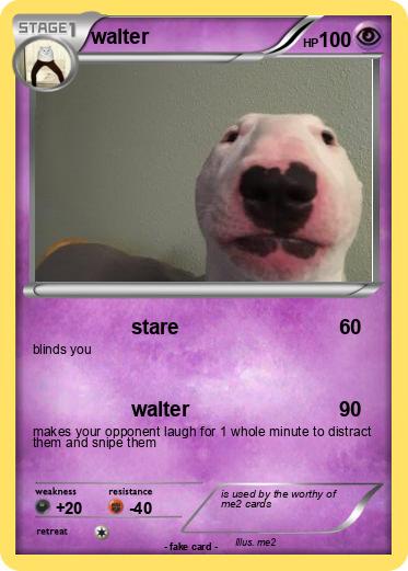 Pokemon walter