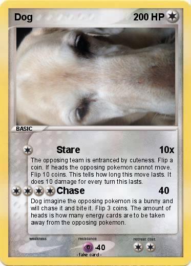 Pokemon Dog