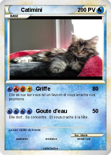 Pokemon Catimini