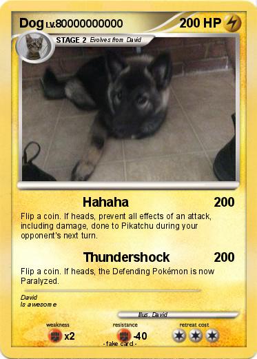 Pokemon Dog