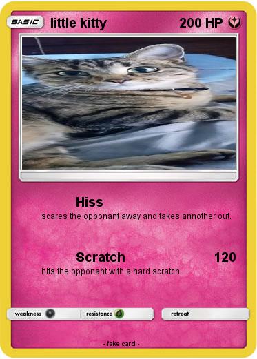 Pokemon little kitty