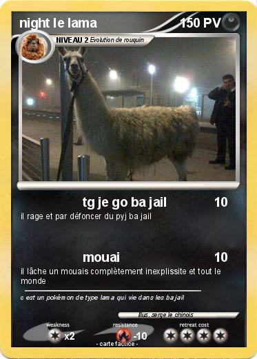 Pokemon night le lama