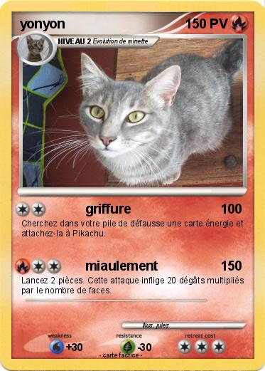 Pokemon yonyon