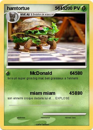 Pokemon hamtortue                    5645