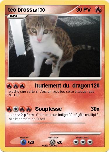 Pokemon teo bross