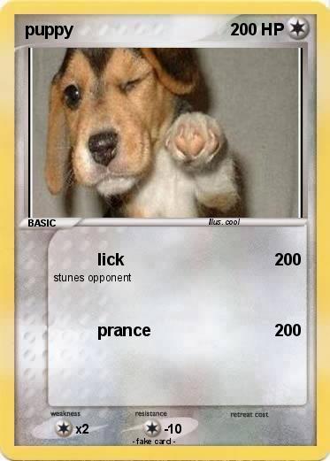 Pokemon puppy