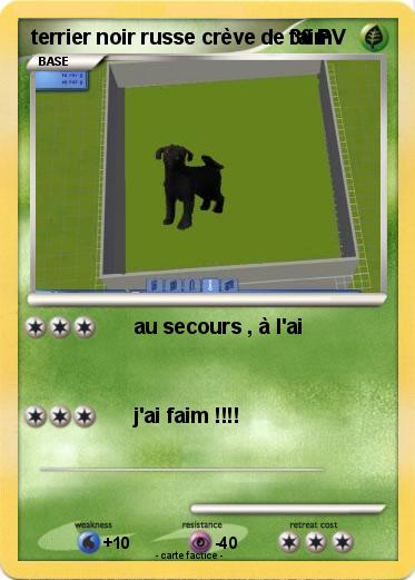 Pokemon terrier noir russe crève de faim