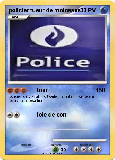 Pokemon policier tueur de molosses