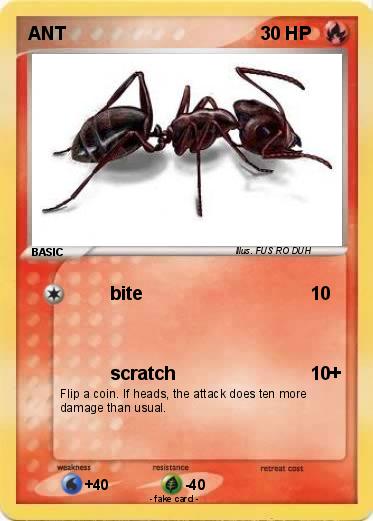 Pokemon ANT