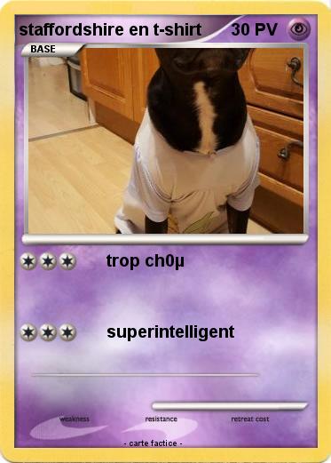 Pokemon staffordshire en t-shirt