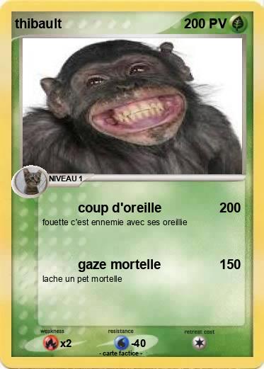 Pokemon thibault