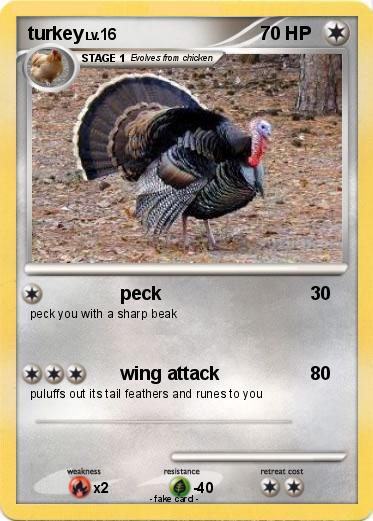 Pokemon turkey