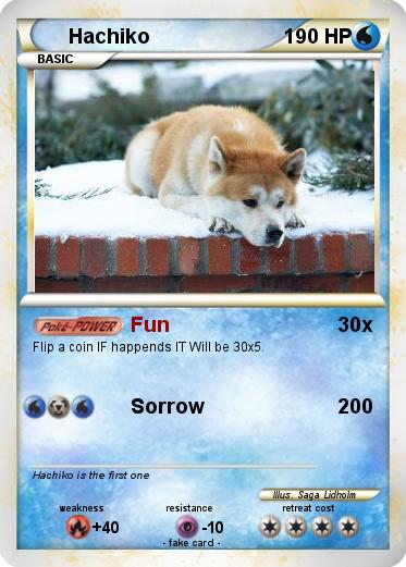 Pokemon Hachiko