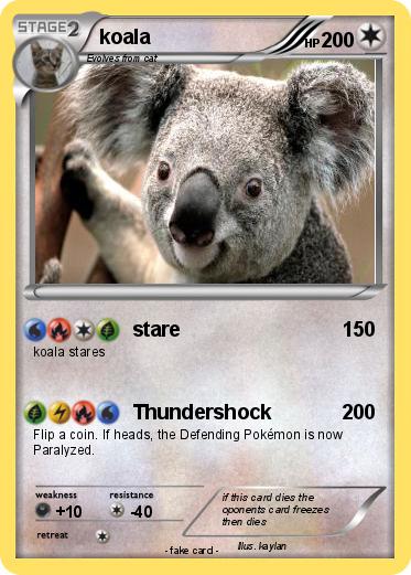 Pokemon koala