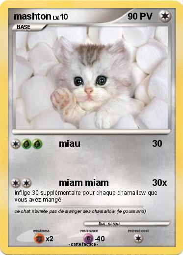 Pokemon mashton