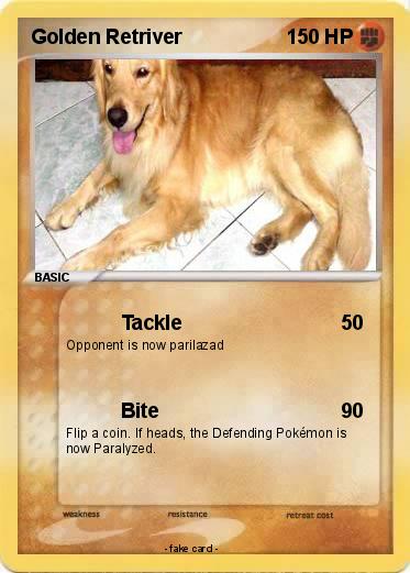 Pokemon Golden Retriver