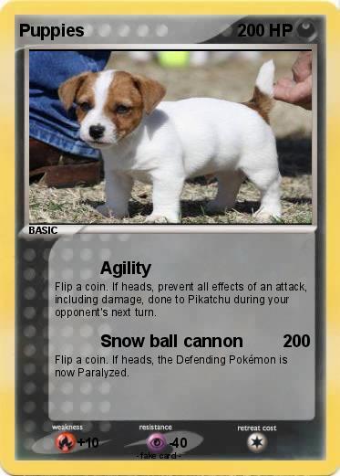Pokemon Puppies