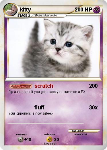 Pokemon kitty