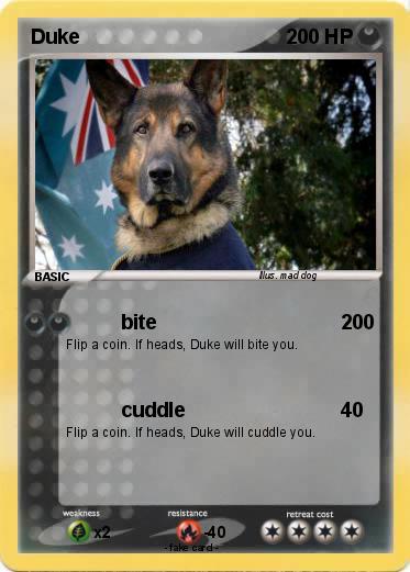 Pokemon Duke