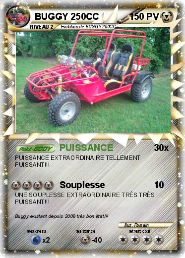 Pokemon BUGGY 250CC