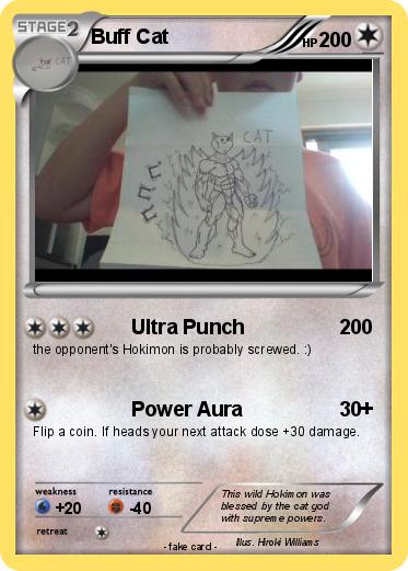Pokemon Buff Cat