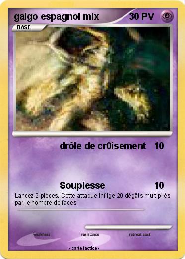 Pokemon galgo espagnol mix