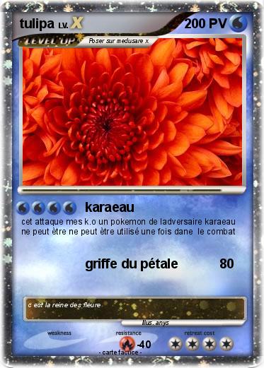 Pokemon tulipa