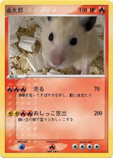 Pokemon 金太郎