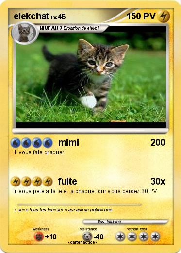 Pokemon elekchat