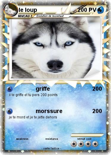 Pokemon le loup