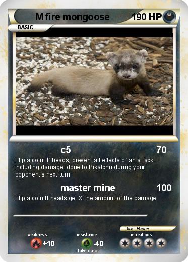 Pokemon M fire mongoose