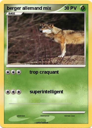 Pokemon berger allemand mix