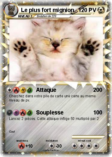 Pokemon Le plus fort mignion