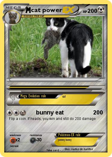 Pokemon cat power