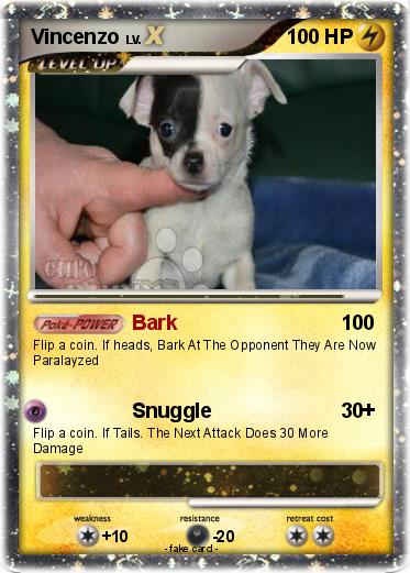 Pokemon Vincenzo