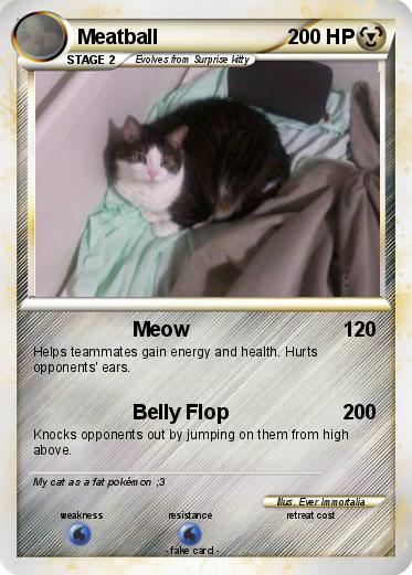 Pokemon Meatball