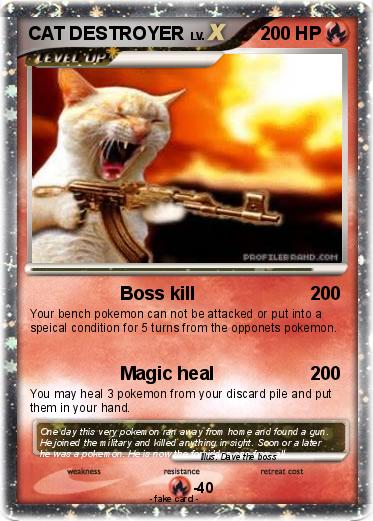 Pokemon CAT DESTROYER