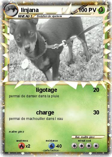 Pokemon linjana