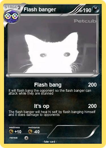 Pokemon Flash banger