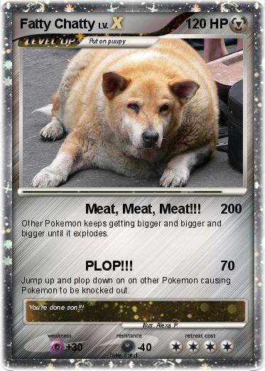 Pokemon Fatty Chatty