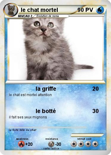 Pokemon le chat mortel