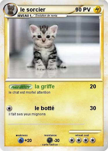 Pokemon le sorcier