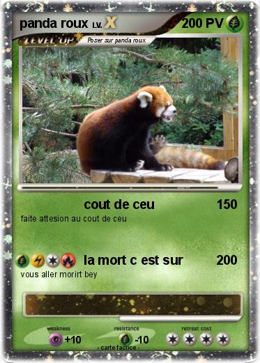 Pokemon panda roux
