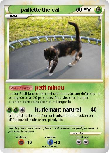 Pokemon paillette the cat