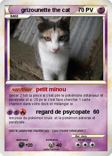Pokemon grizounette the cat