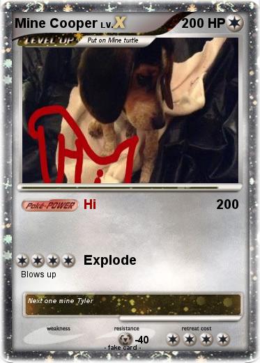Pokemon Mine Cooper